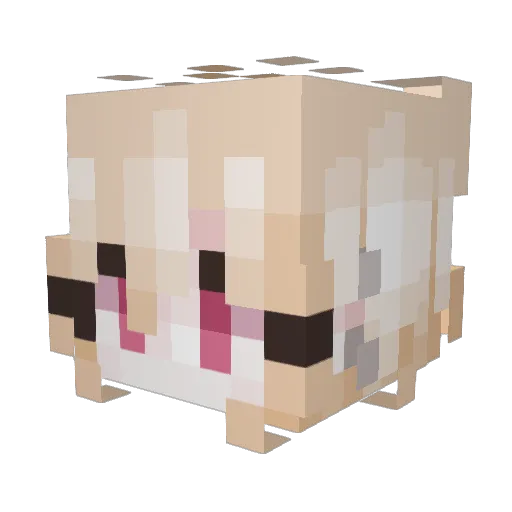 kvirz Minecraft avatar head, 3D render