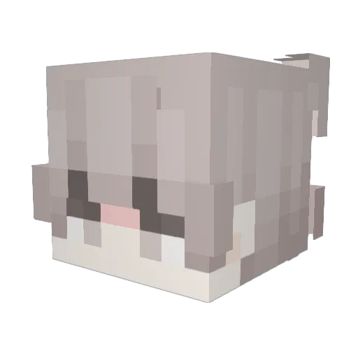 kvn_n Minecraft avatar head, 3D render