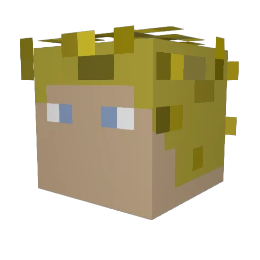 kvrl2g Minecraft avatar head, 3D render