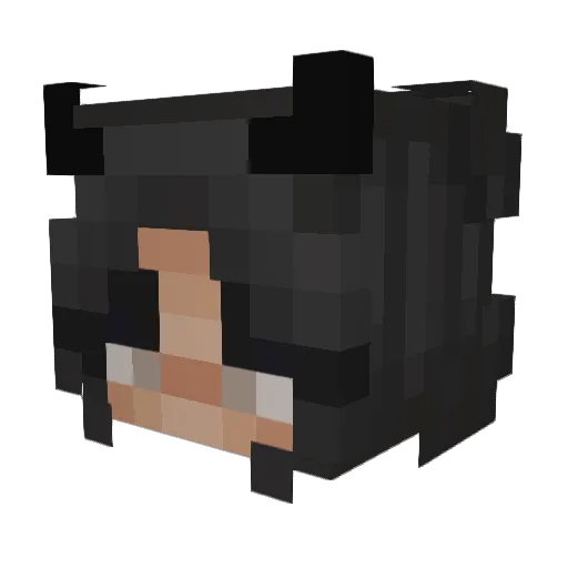 kvsti Minecraft avatar head, 3D render
