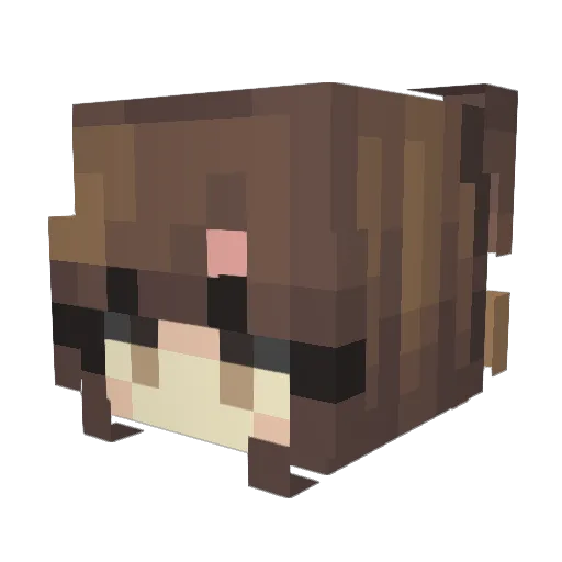kvzumix Minecraft avatar head, 3D render