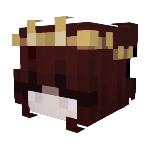 kvzxx Minecraft avatar head, 3D render