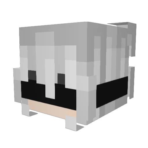 kw6666 Minecraft avatar head, 3D render