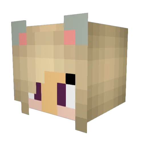 kwaysadilla Minecraft avatar head, 3D render