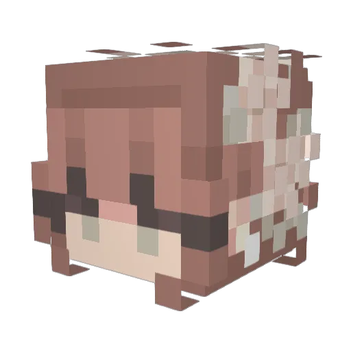 kwazkatz Minecraft avatar head, 3D render