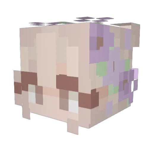 kweenkendraa Minecraft avatar head, 3D render