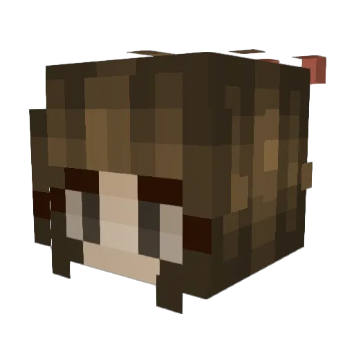 kwertyleft Minecraft avatar head, 3D render