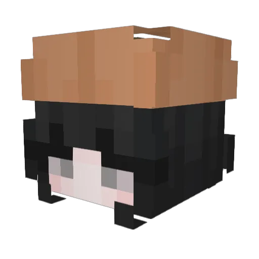 kwi0 Minecraft avatar head, 3D render