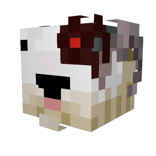 kwispyboi69 Minecraft avatar head, 3D render