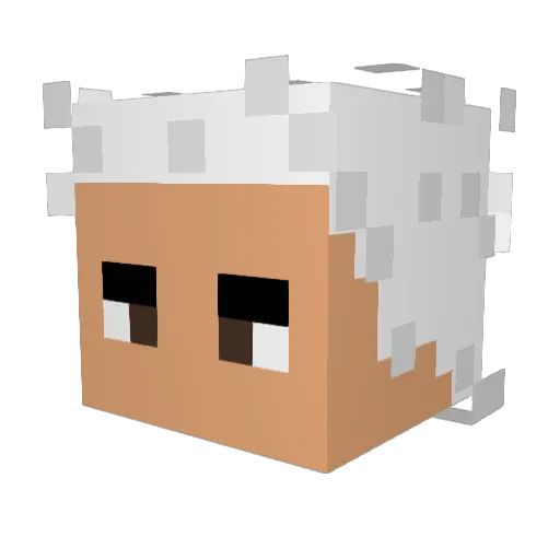 kwlee0728 Minecraft avatar head, 3D render
