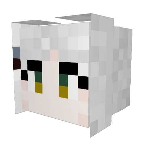kwn369 Minecraft avatar head, 3D render