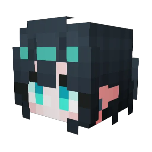 kwryu2414 Minecraft avatar head, 3D render