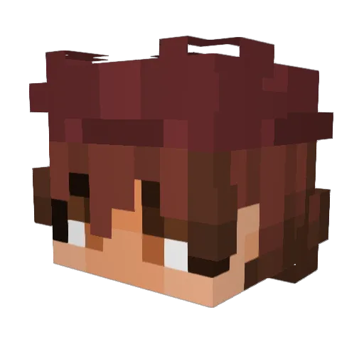 kwu517 Minecraft avatar head, 3D render