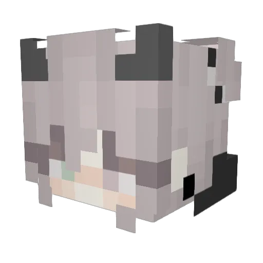 kxdence Minecraft avatar head, 3D render