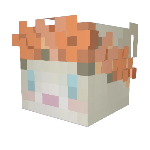kxxssy Minecraft avatar head, 3D render