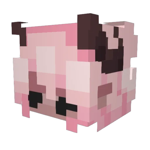 kyaaayuki Minecraft avatar head, 3D render
