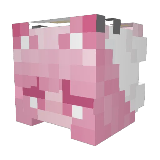 kyamisa Minecraft avatar head, 3D render