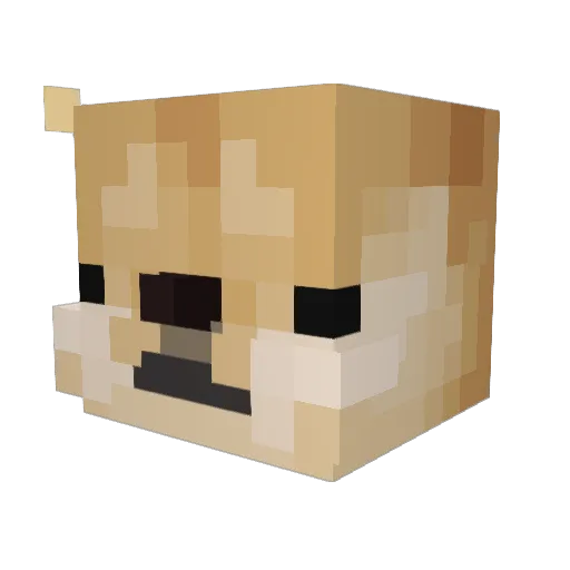kyaoto Minecraft avatar head, 3D render