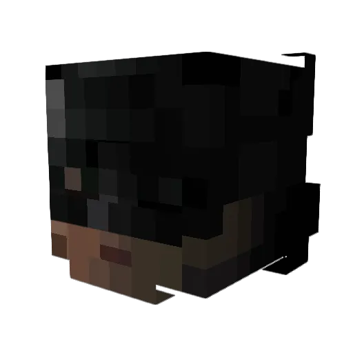 kye26 Minecraft avatar head, 3D render