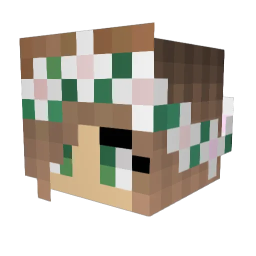 kyeongmin720 Minecraft avatar head, 3D render