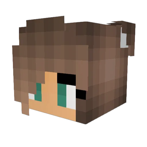 kyla_03 Minecraft avatar head, 3D render
