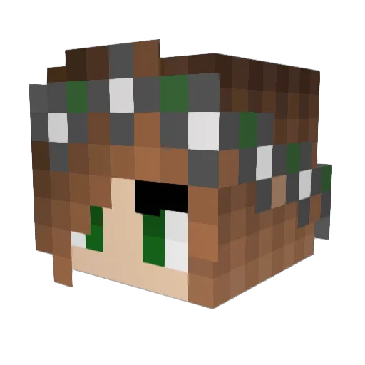 kylee0009 Minecraft avatar head, 3D render