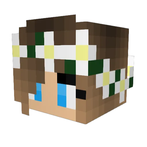 kylee329 Minecraft avatar head, 3D render