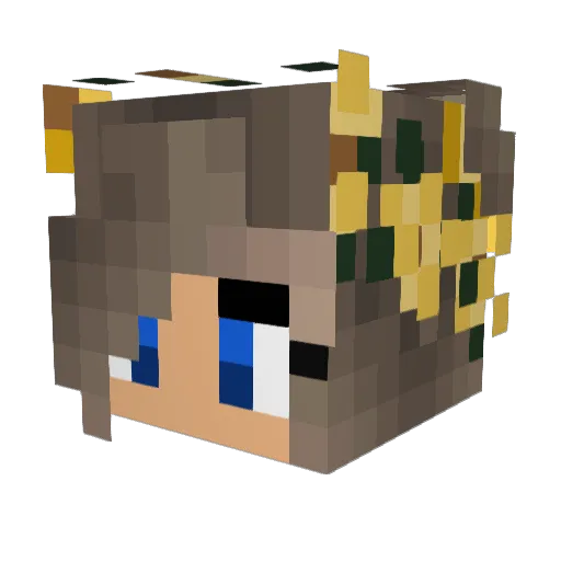 kyleeG2004 Minecraft avatar head, 3D render