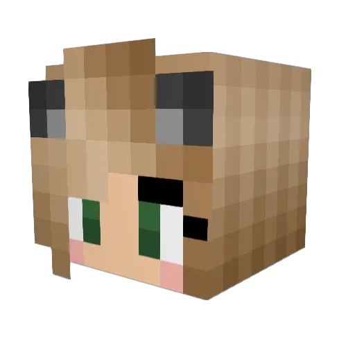 kyleebear123 Minecraft avatar head, 3D render