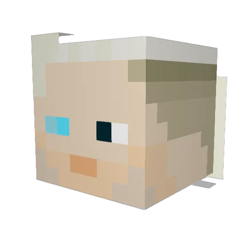 kyleeeboyyy Minecraft avatar head, 3D render
