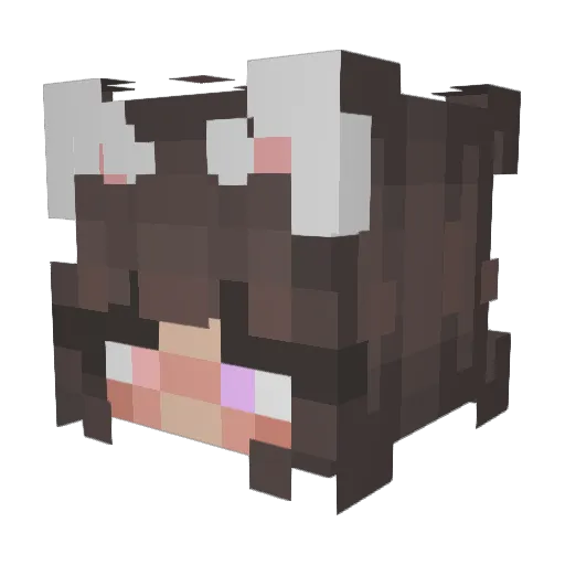 kyleen00tfound Minecraft avatar head, 3D render
