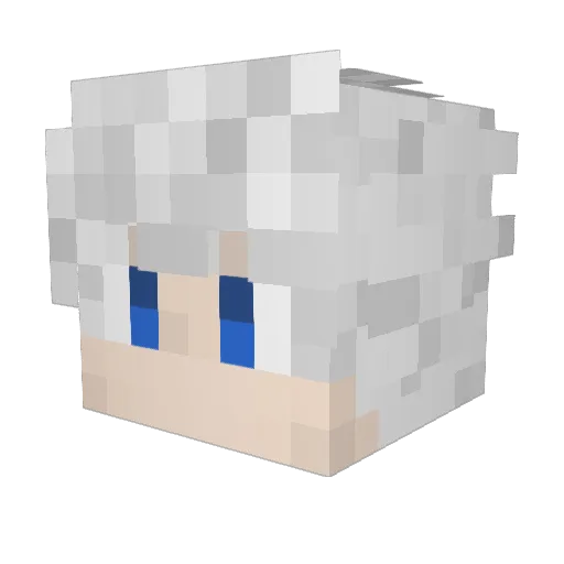 kylesorry123 Minecraft avatar head, 3D render