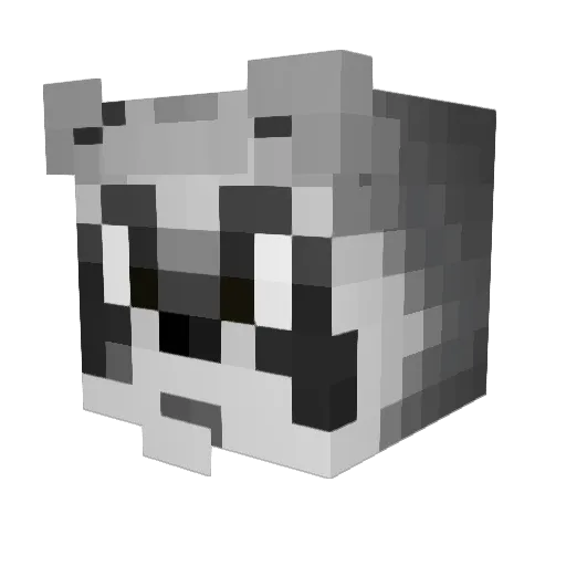 kylew0921 Minecraft avatar head, 3D render