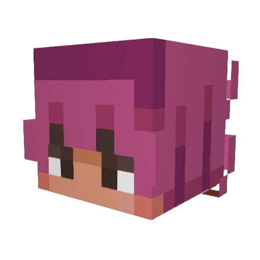 kylexstan Minecraft avatar head, 3D render