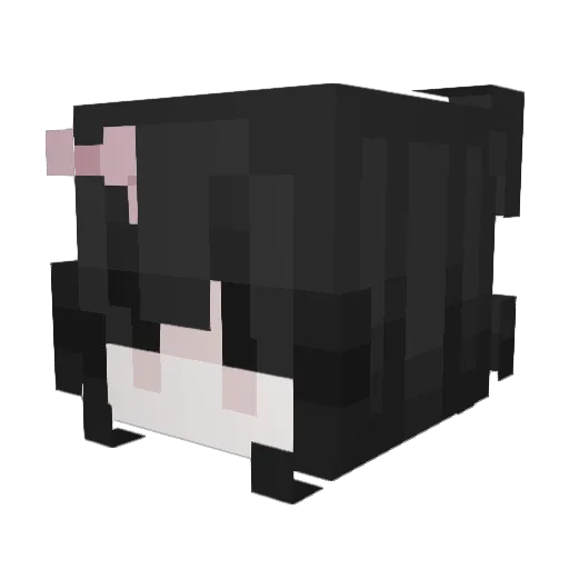kyli6 Minecraft avatar head, 3D render