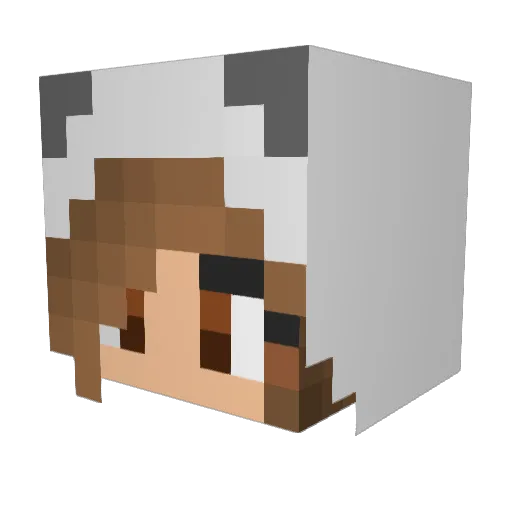 kylie5678 Minecraft avatar head, 3D render