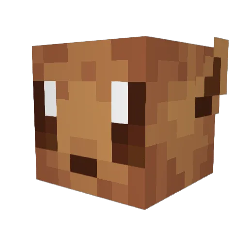 kyliecorp Minecraft avatar head, 3D render