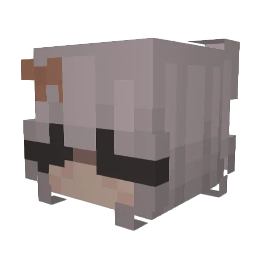 kyliee21 Minecraft avatar head, 3D render