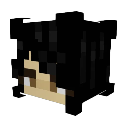 kyliejenne Minecraft avatar head, 3D render