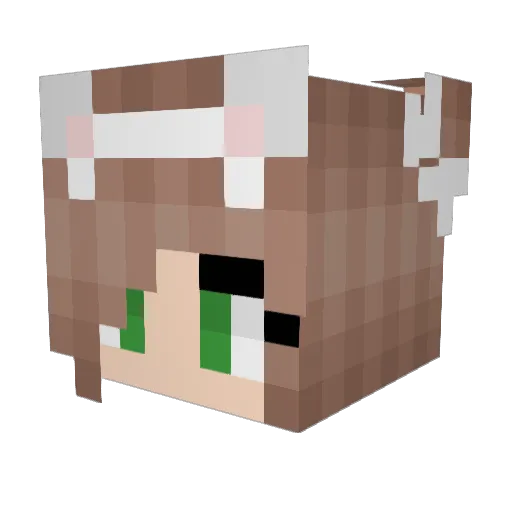 kylieprincess Minecraft avatar head, 3D render