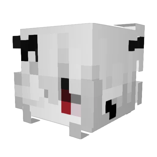 kylieshin_ Minecraft avatar head, 3D render