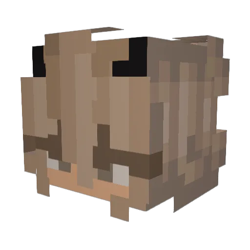 kyliex50 Minecraft avatar head, 3D render