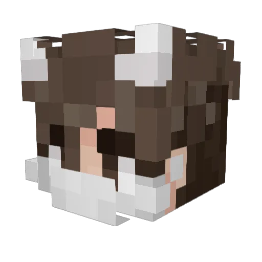 kylu Minecraft avatar head, 3D render