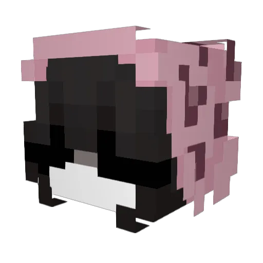 kynlif Minecraft avatar head, 3D render
