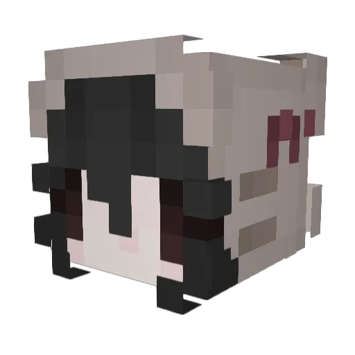 kyojakkinit Minecraft avatar head, 3D render