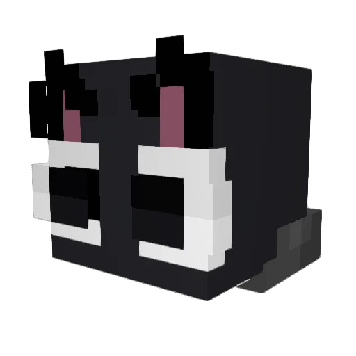 kyokite Minecraft avatar head, 3D render