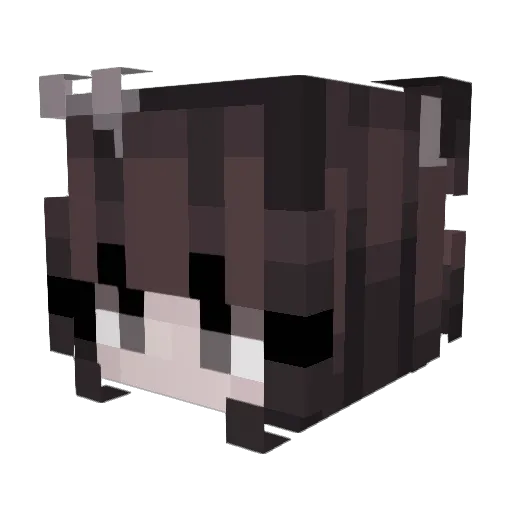 kyokoki Minecraft avatar head, 3D render