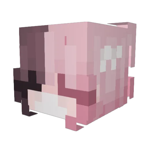 kyolel Minecraft avatar head, 3D render