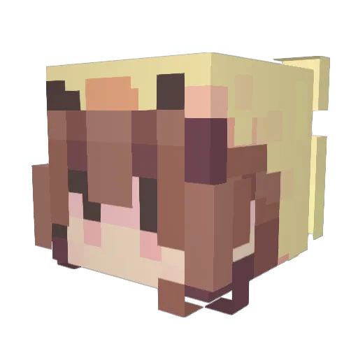 kyon14 Minecraft avatar head, 3D render