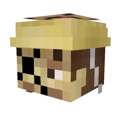 kyorakukiro Minecraft avatar head, 3D render